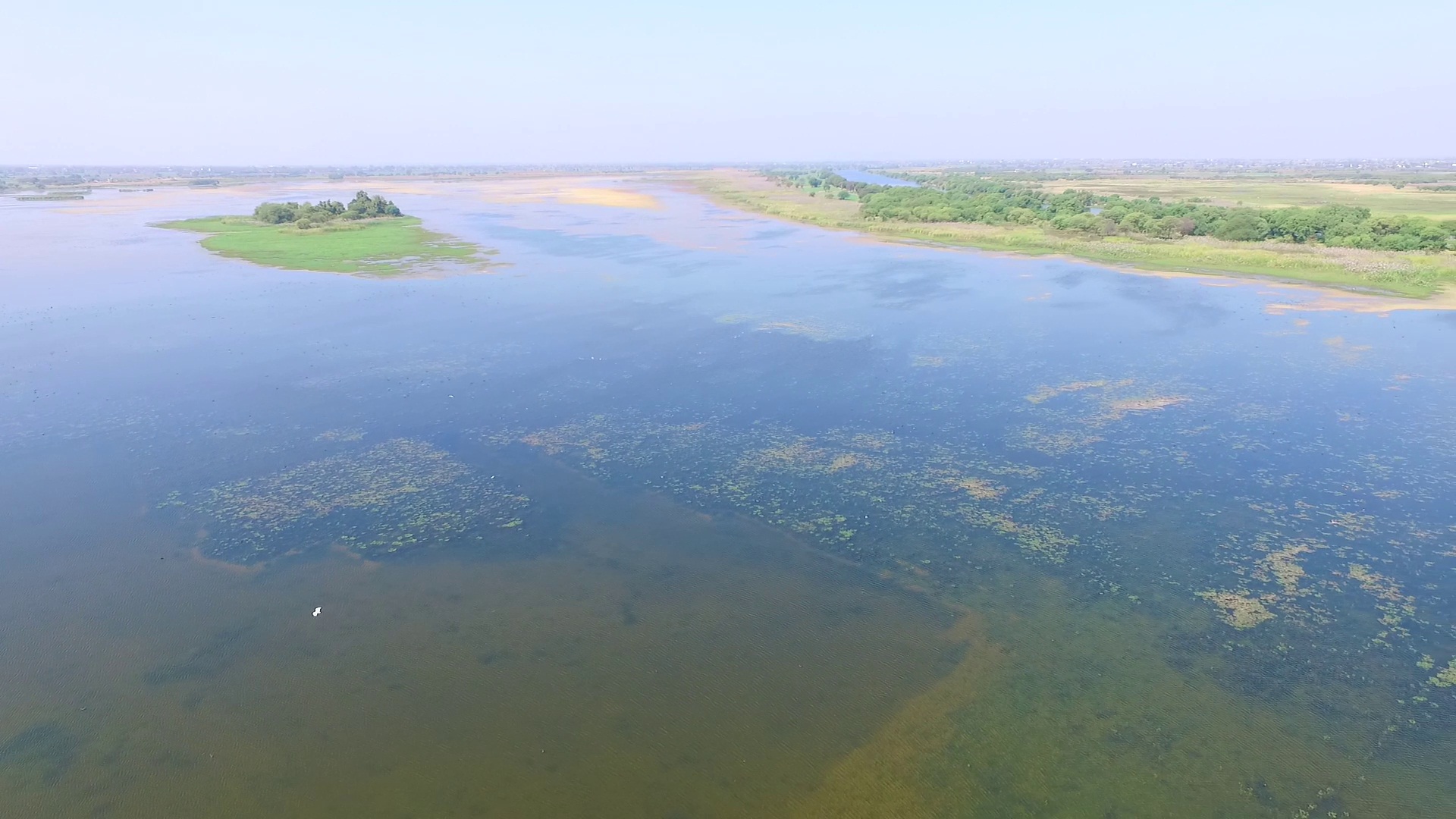 NMWLS Wetland Aerial View